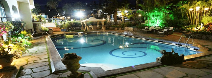 2387/Hotel Hillock - Mount Abu 18.jpg